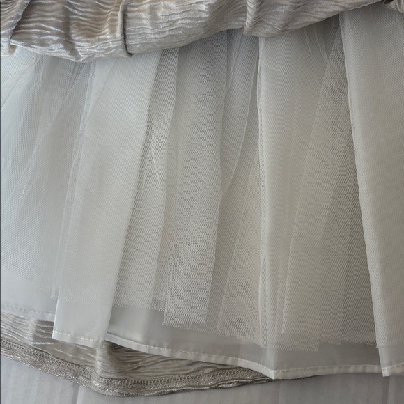 Sweet Heart Rose silver metallic with embroidered trim, tie and zip back,size 6X - Picture 8 of 9